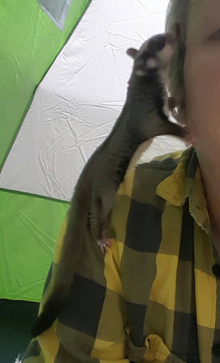 JoeyKisses.jpg